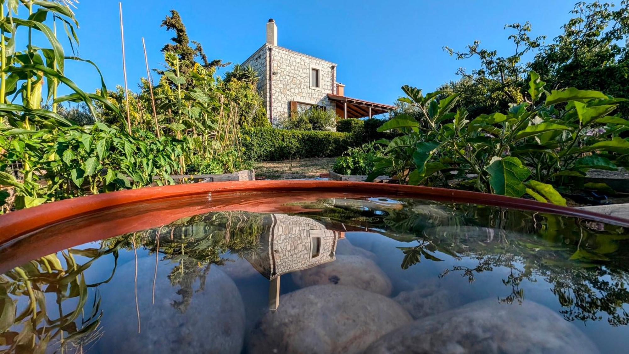 Villa Fyllosia أرتشانيس المظهر الخارجي الصورة